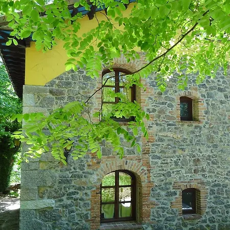 Trapa Soto De Cangas